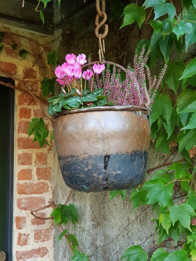 Az.Agr.Cascina Moretta Momo Exterior photo